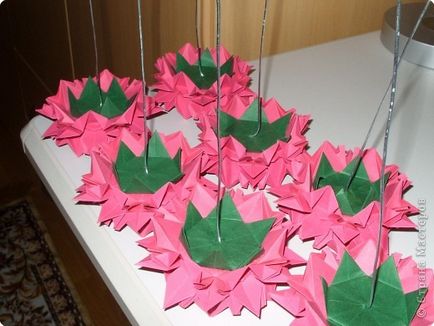 Origami - bujori de mc