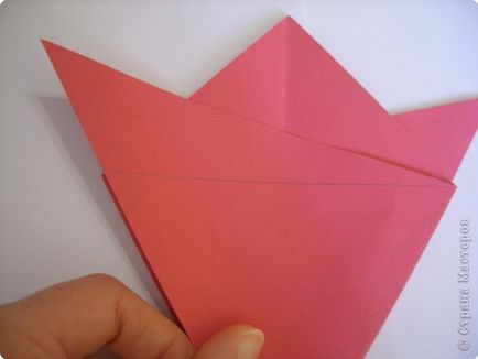 Origami - bujori de mc