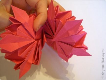 Origami - bujori de mc