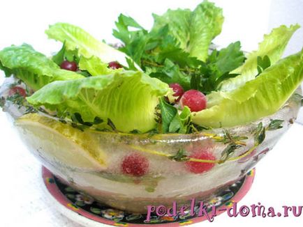 Salata de salată originală într-o plăcuță de gheață, o cutie de idei și clase de masterat