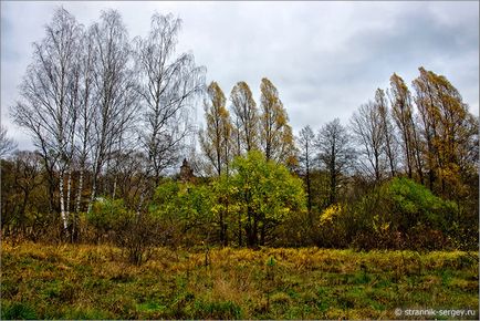 Pădurea de toamnă din rezervația Prioksko-Terrasny