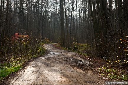 Őszi erdő a Oka-teraszos park