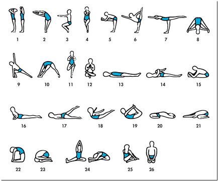 Основні вправи і асани йоги