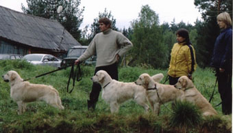 Vânătoare - vânătoare cu câine - vânătoare cu un retriever de aur - vânătoare cu un retriever de aur - vânătoare pentru