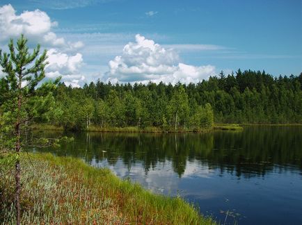 Lacul sălbatic