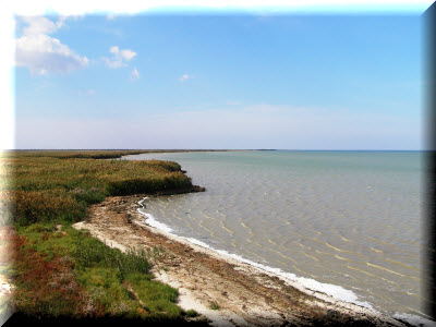 Lacul Sivash în Crimeea de origine, unde este pe hartă, descriere