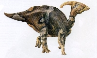 паразауролоф parasaurolophus