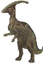 Parasaurolophus parasaurolophus