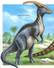 Parasavrolofus (parasaurolophus)