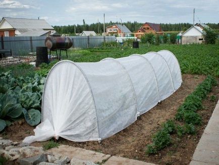 Парники огляд різних варіантів і поради по їх виготовленню