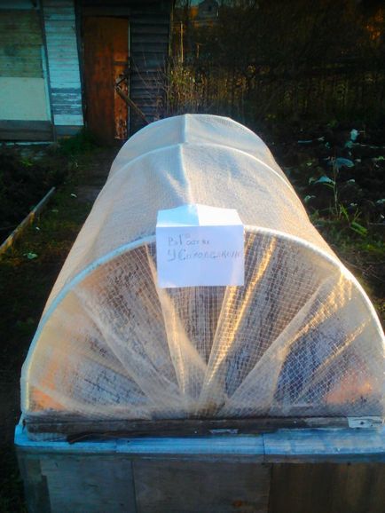 Greenhouse-mellkas kezével () Greenhouse-mellkas kezével
