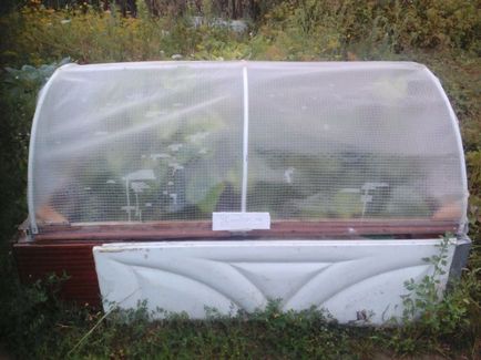 Greenhouse-mellkas kezével () Greenhouse-mellkas kezével
