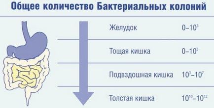 Чи передається молочниця від жінки до чоловіка