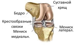 Ruptura anterioară a ligamentului cruciat, tratamentul, sănătatea și longevitatea