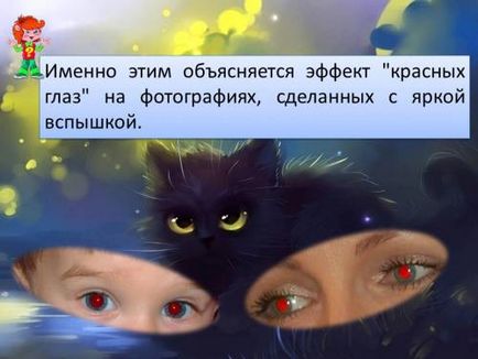 De ce - de ce ochii pisicii strălucesc în cani întunecați și electives 1-4 cl.