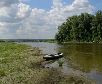 Чому не можна купатися в квітучої воді