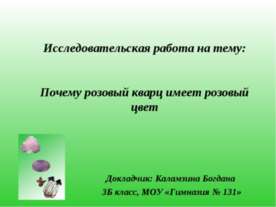 Чому у кішки світяться очі презентація до уроку навколишній світ