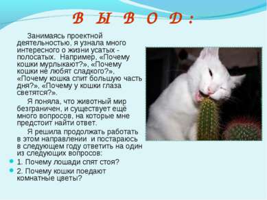 Чому у кішки світяться очі презентація до уроку навколишній світ