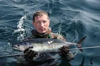 Підводне полювання на пеленгаса та інших риб чорного моря - підводне полювання