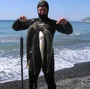 Підводне полювання на пеленгаса та інших риб чорного моря - підводне полювання