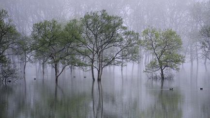 Inundațiile sunt procesul natural al fenomenelor naturale