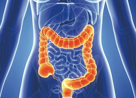 Diaree în cancer, diaree, scaun liber cu oncologie