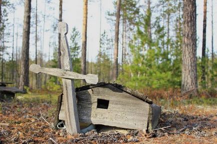 Схожі-несхожі ханти і ненці