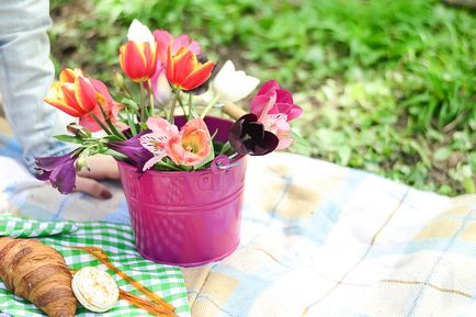 Reguli pentru un picnic frumos