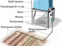 Предимства и недостатъци на капково напояване в парници, сравнение с други системи за поливане,