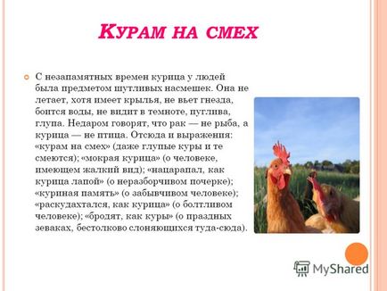 Prezentarea pe tema limbii engleze și a frazeologiei sale a fost realizată de Vitaly