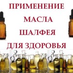 Aplicarea uleiului salvie pentru sănătate