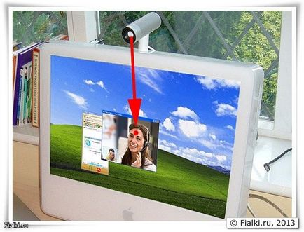 Професійне розміщення веб-камери в skype, фіалки (сенполії)