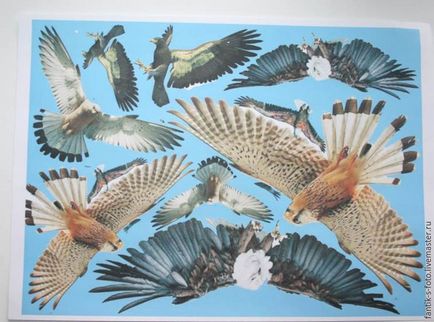 Птахи в небі - швидка і проста розпис стелі підручними матеріалами - ярмарок майстрів - ручна