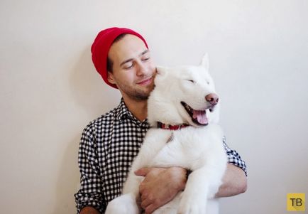 Мандрівник з собакою з сша (31 фото)