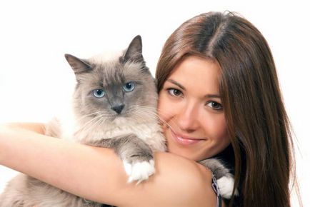П'ять доведених наукою фактів, що кішки продовжують людині життя