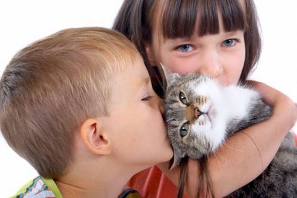 Öt bizonyított tudományos tények, hogy a macskák meghosszabbítja az emberi élet