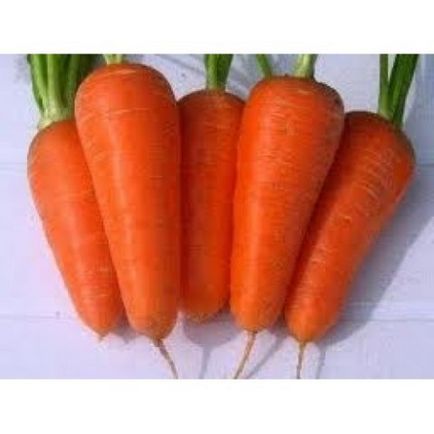Ранні сорти моркви опис з фото, відгуки