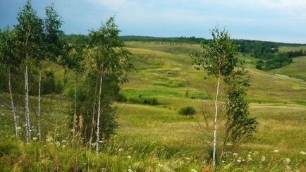 Povestiri un om are nevoie de natura