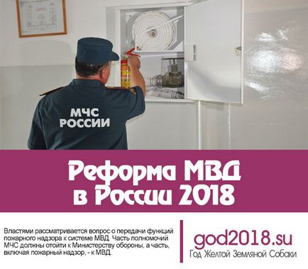 Реформа мвс в россии 2018