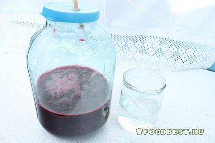 Рецепт домашнього вишневого вина - робимо ароматну «вишнівку», рубінове вино з вишні