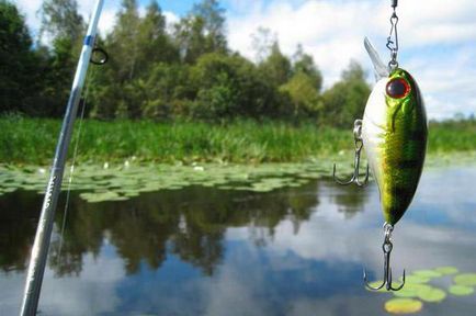 Fishing on Lake Białe képek és vélemények