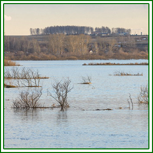 Pescuitul în apă mare 1