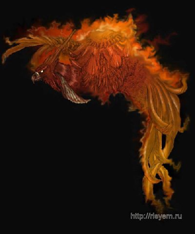 Desenați un Phoenix