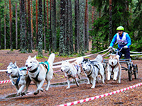 RKF - Orosz Föderáció Canine, kiállítások és versenyek, Eurázsia, 2010 szállodák