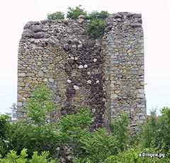 Descrierea Rotunda și fotografie