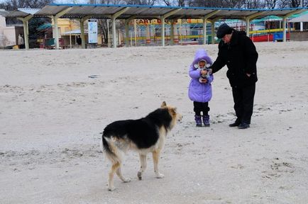 Сім прийомів, які врятують вас під час нападу скаженого пса