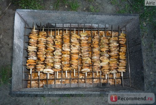 Alchova cipuri pentru fumat carne, pește, ooo lemn de foc - 