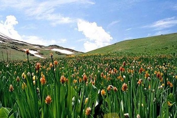 Shymkent - történelem és minden, ami a város