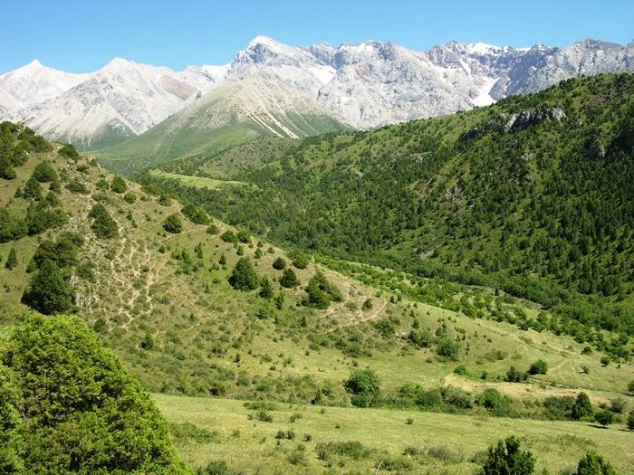 Shymkent - istorie și totul despre atracțiile orașului