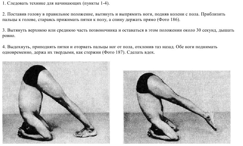 Шіршасана, стійка на голові, йога, slavyoga